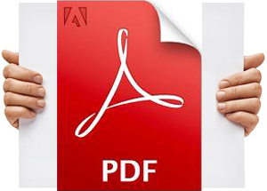 PDF Format