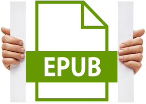 epub format