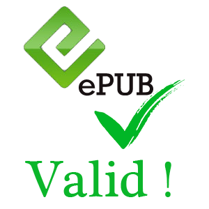 epub validation error fixing services